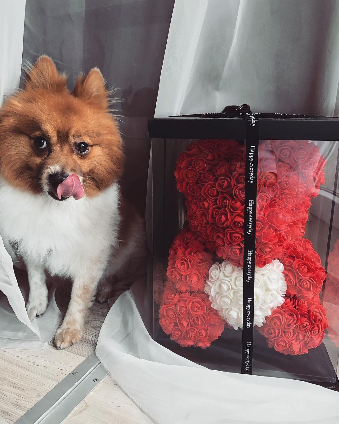 Red Rose Teddy Bear Valentines Day Gift